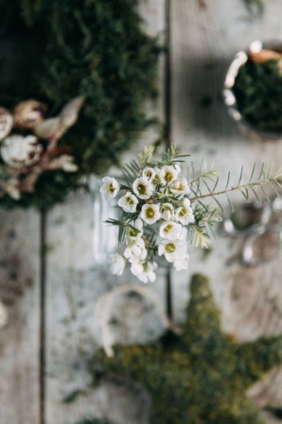 istock Spring Easter wreath with quail eggs, decoration in the interior and on the head. Compositions of moss and greenery 1077054914