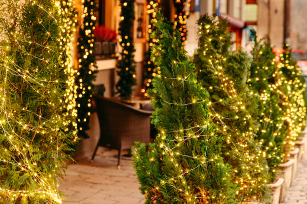 istock christmas tree in decoration lights 1077058796