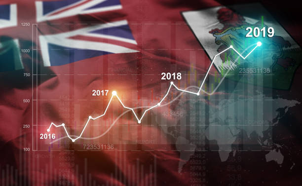 istock Growing Statistic Financial 2019 Against Bermuda Flag 1077061572