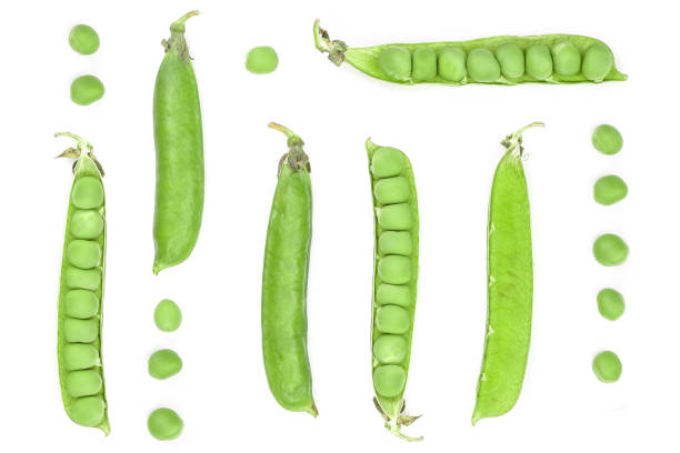 istock Fresh green pea pod isolated on white background. Set or collection. Top view. Flat lay pattern 1077063740