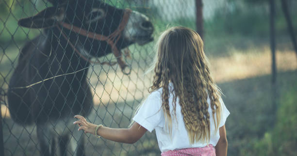 istock I came to make you a company not to be alone. 1077067938