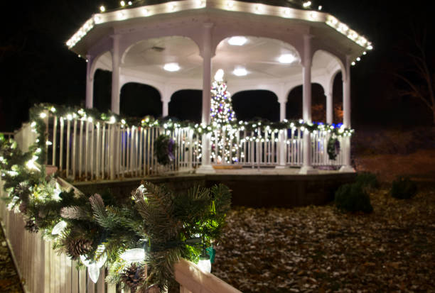 istock Christmas Tree Lit Up in a Gazebo 1077069074