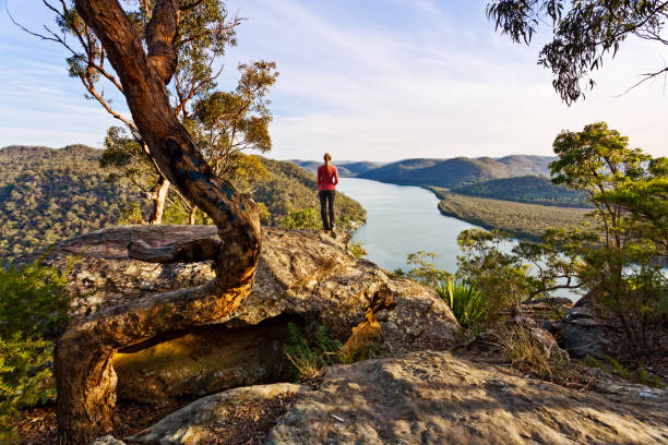 Woman chilling out on a rock overlooking river bend Female standis on the edge of the cliff with clear views out over the snaking river and mountain scenery new south wales photos stock pictures, royalty-free photos & images