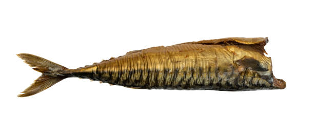 istock Cold Hot Smoke Mackerel Isolated on White Background Close Up 1077083686