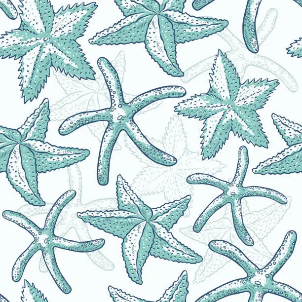 Vector illustration of Vector seamless pattern starfish. Sea star monochrome turquoise outline sketch illustration isolated on white background for design on marine theme.