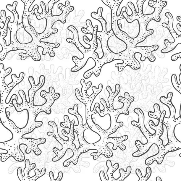 Vector illustration of Vector seamless pattern corrals. Polyps monochrome black white outline sketch illustration isolated on white background for design of tourist marine theme.