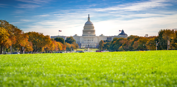 Goverment Capitol building in Washington DC with autumn park and green floor and blue sky , USA, United States of America