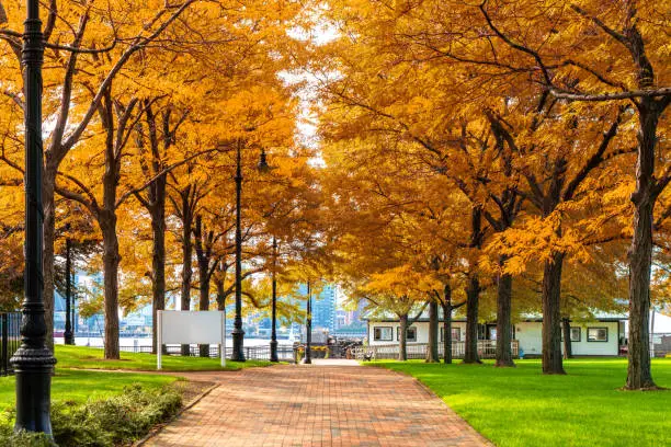 Photo of Autumn park in boston, USA, United stage of America