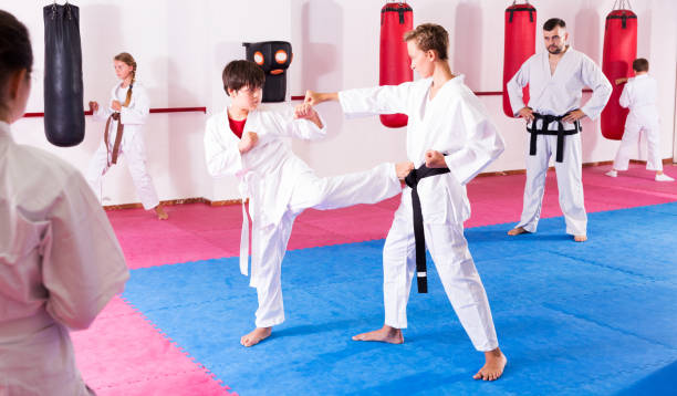 istock Children working in pair mastering new karate moves 1077091184