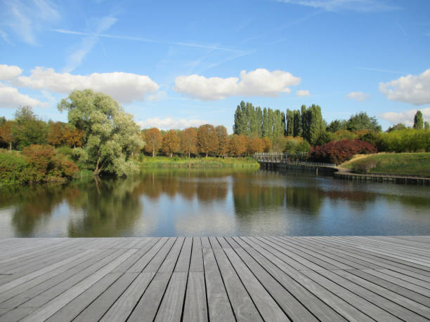 istock Public park  Wooden terrace  Pond lined with trees 1077091540