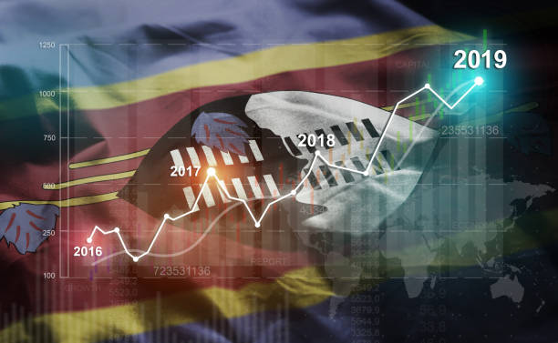 istock Growing Statistic Financial 2019 Against Swaziland Flag 1077093688