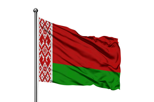Flag of Belarus waving in the wind, isolated white background. Belarusian flag.