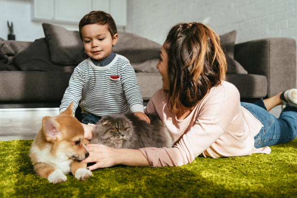 madre e figlio sdraiati sul pavimento con cane e gatto in soggiorno a casa - inglese a pelo lungo foto e immagini stock