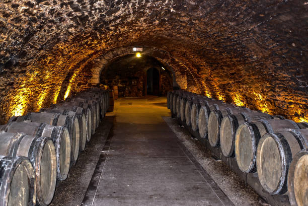 Libourne, France - May 09, 2011: Wine ageing in barrels in a cellar the famous wine district of Libourne in France.
