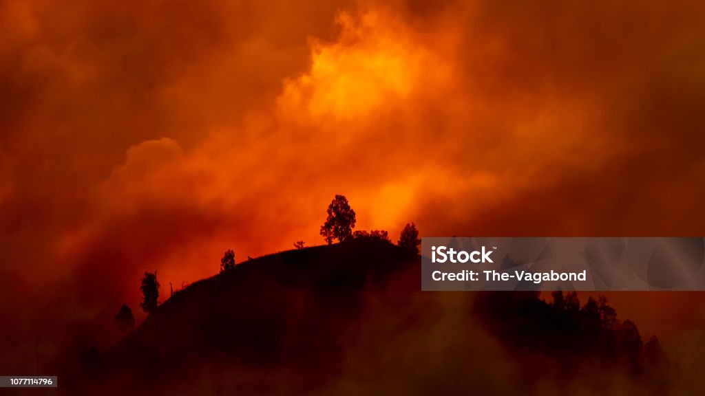 Heuvel met bomen gaan branden in rood, oranje wildvuur - Royalty-free Bosbrand Stockfoto