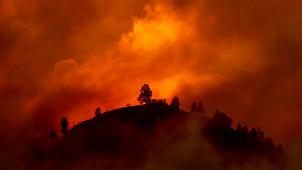 hill kırmızı, turuncu söndürülmesi güç ateş yakmak ağaçları ile - wildfire smoke stok fotoğraflar ve resimler