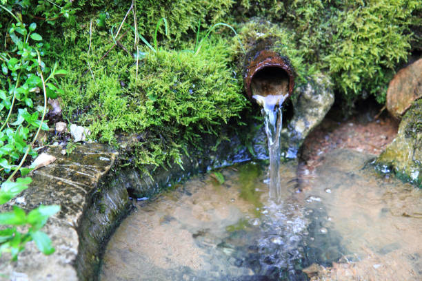 istock spring of water 1077116984