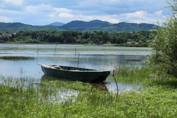 istock Lake Modrac at summer time 1077119620