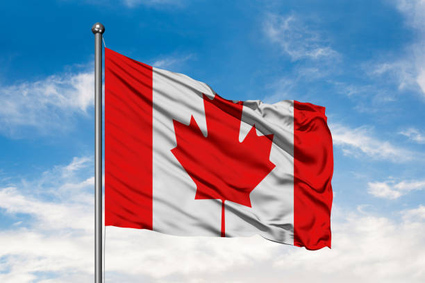 Flag of Canada waving in the wind against white cloudy blue sky. Canadian flag. Flag of Canada waving in the wind against white cloudy blue sky. Canadian flag. canada flag blue sky clouds stock pictures, royalty-free photos & images