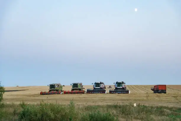 Photo of harvesters after work in the evening in the field