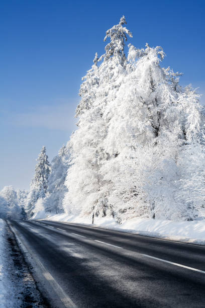 istock Road through winter forest - hoar frost 1077132410