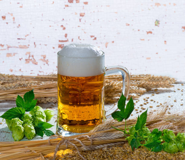 istock Still life with beer galss, hops and barley 1077140252