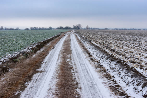 istock Landscape with an earth road between agricultural fields covered by first snow in Ukraine 1077146018