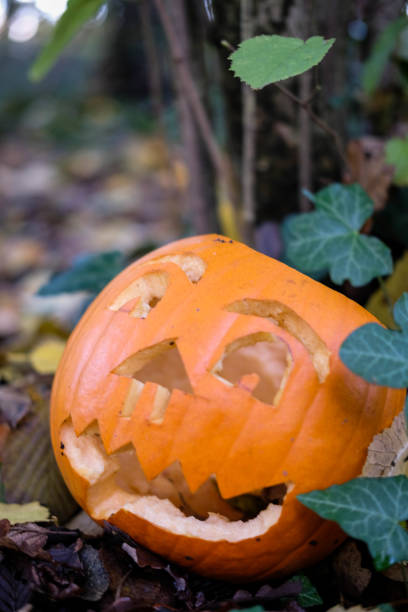 istock Portrait of a Pumpkin 1077161884