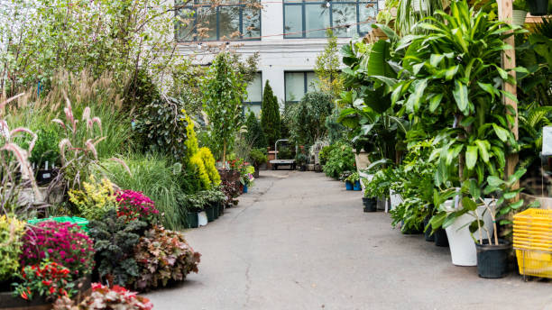 istock New York Garden 1077165396