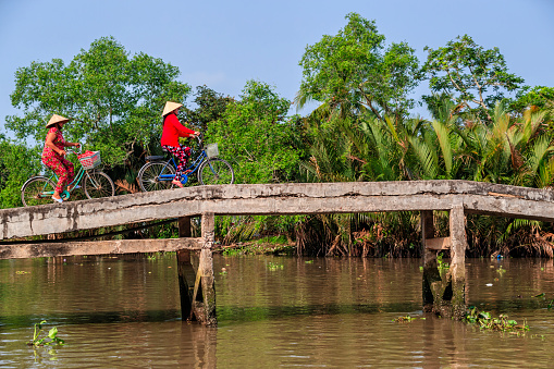 Vietnamese women riding a bicycle, Mekong River Delta, Vietnam