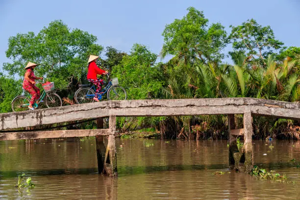 Photo of Vietnamese women riding a bicycle, Mekong River Delta, Vietnam