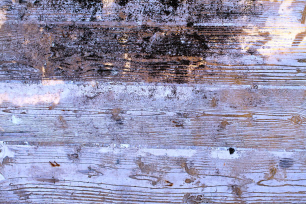 istock Abstract Grunge Wooden Background Texture 1077165832