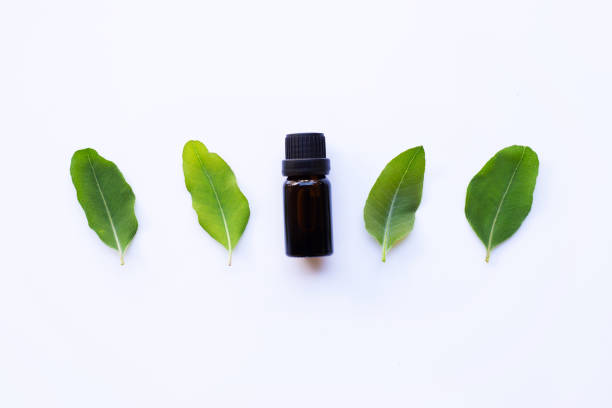 istock Eucalyptus oil bottle with eucalyptus leaves on white 1077168678