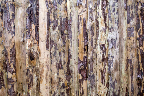 istock Abstract Grunge Wooden Background Texture 1077170854