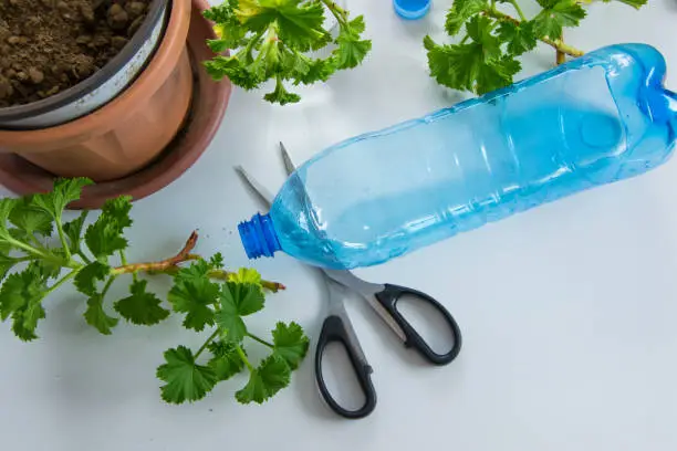 Photo of Recycled Plastic Bottle Gardening. Top view of plastic bottle ready for fill with soil, to plant plants or vegetables inside. DIY gardening, crafts ideas