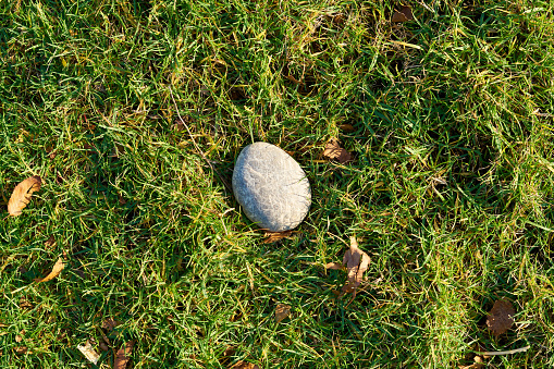 Green Grass and Stones