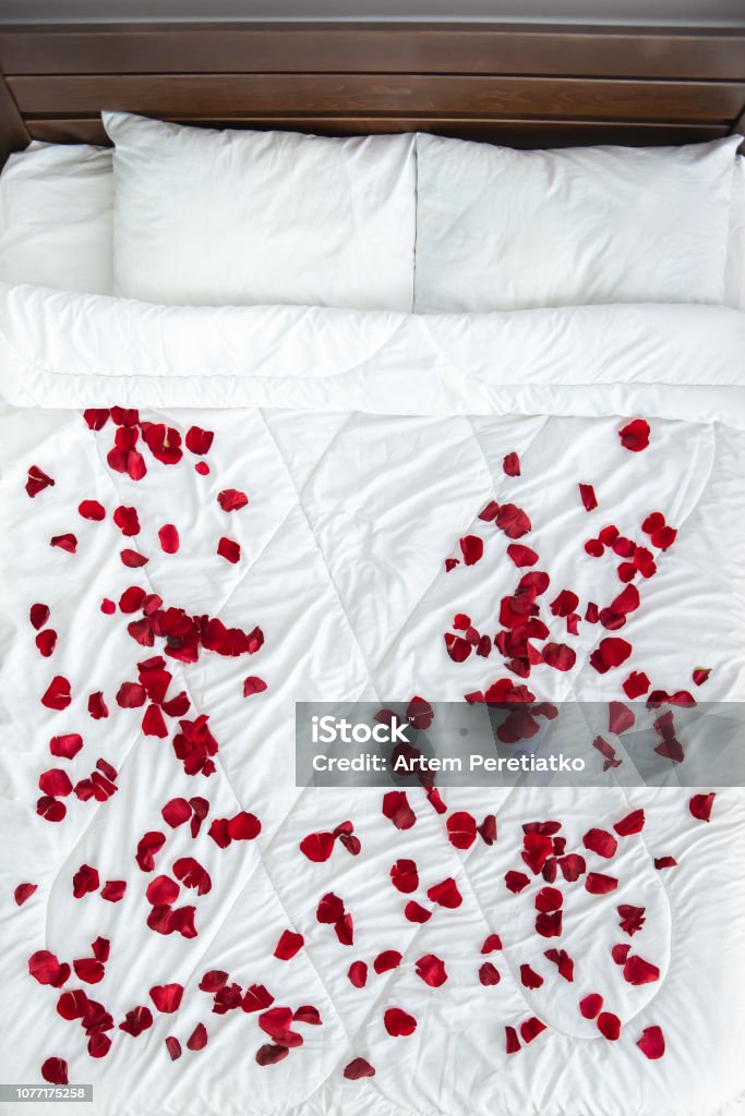 The bed with a rose petals. view from above Bed - Furniture Stock Photo The bed with a rose petals. view from above Bed - Furniture Stock Photo