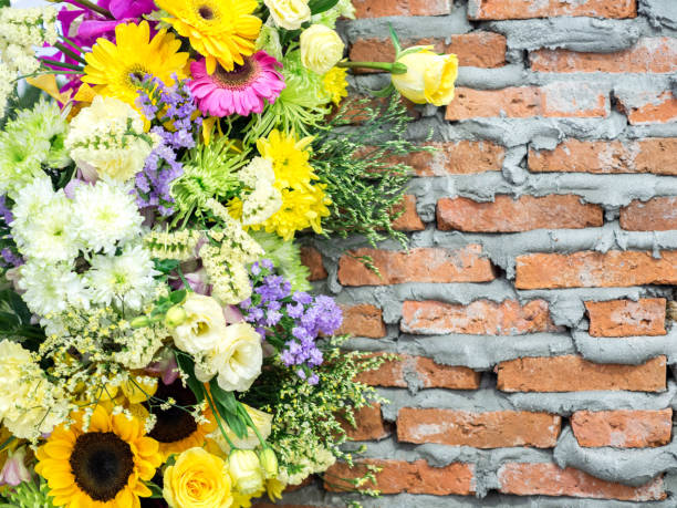 istock flower decoration indoor garden 1077175776