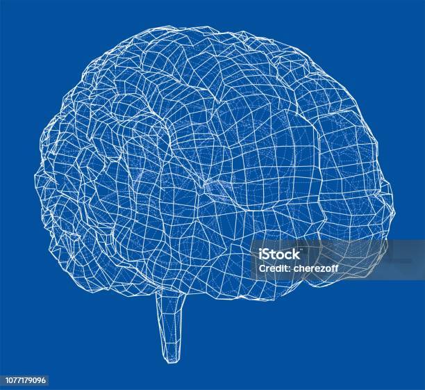 3d Outline Rendering 3d Outline Brain Vector Rendering Of 3d Stock Illustration - Download ...