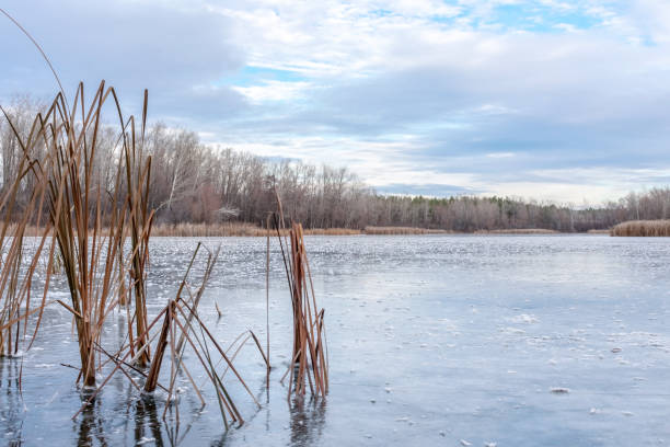 istock Winter landscape ice-covered lake and trees. Beautiful cloudy sky. 1077182578