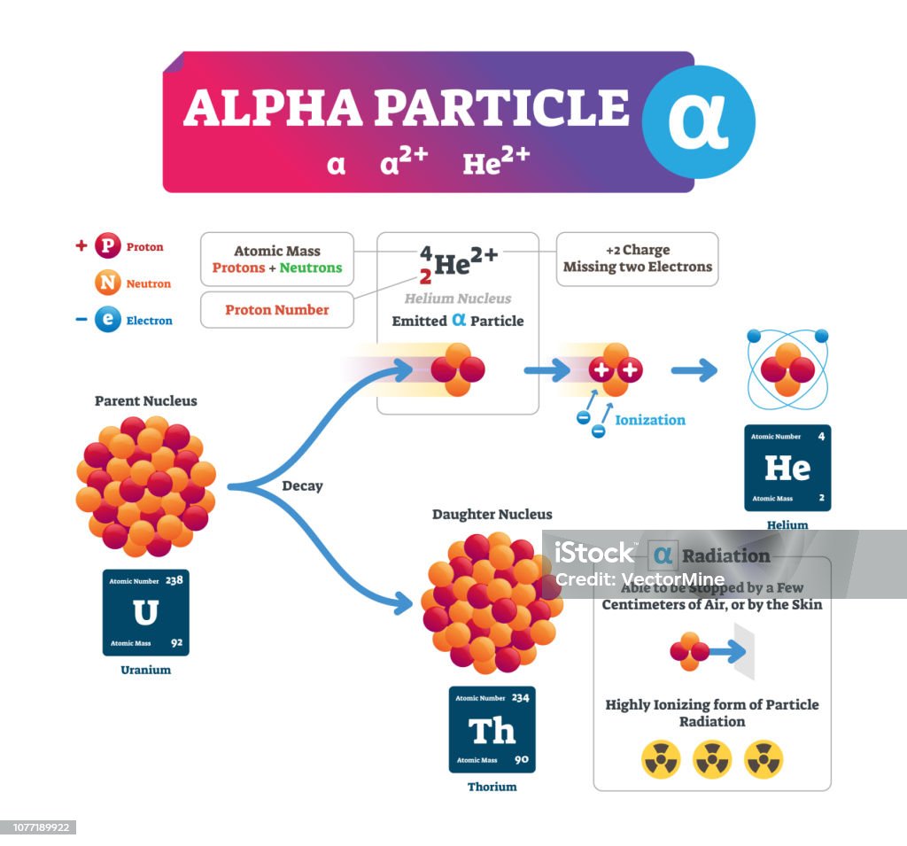 Alpha Particle Transmutation Alpha Particle Vector Illustration Labeled Process Explanation ...