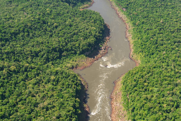 istock Aerial View of the River in the Forest 1077191016