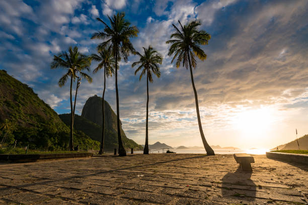 istock Early Sunrise in the Beach 1077191098