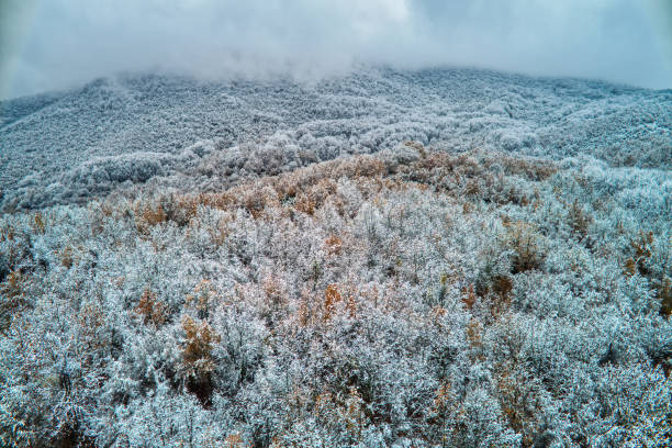 istock Two seasons - winter and autumn scene 1077194998