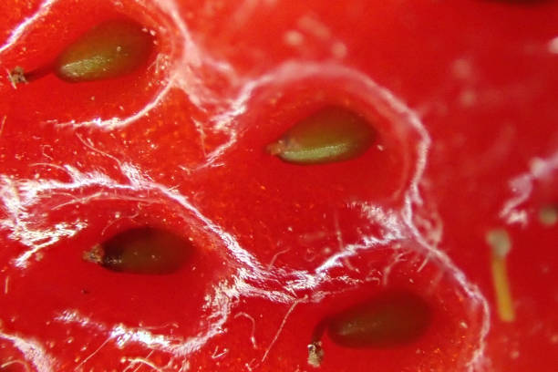 istock micro texture of fresh strawberry 1077195208