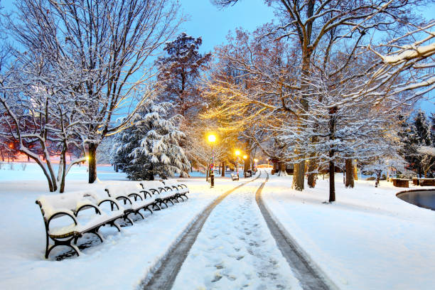 하트 포드, 코네티컷에서 겨울 - snow winter bench park 뉴스 사진 이미지