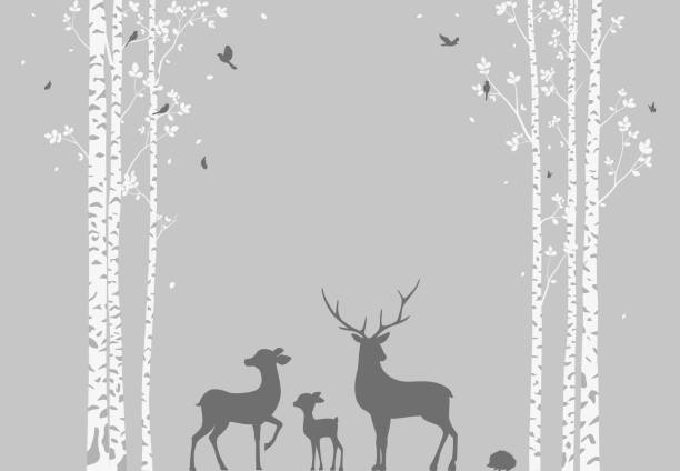 istock Birch Tree with deer and birds Silhouette Background for wallpaper sticker 1077197102