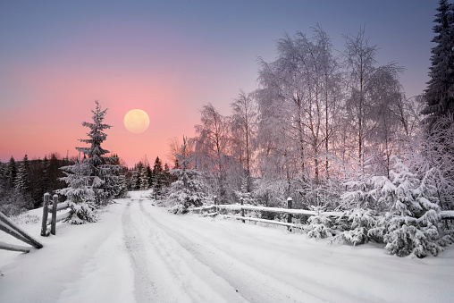 Severe frost in the mountains, frost and ice on the branches and beautiful art lighting creates a New Year's mood under the starry sky of the Galaxy on the Alpine fields in the Carpathians, Ukraine