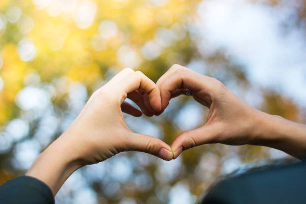 istock Heart symbol with hands 1077198198