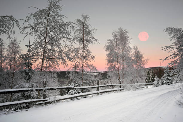 Moon over the forest, December 1, 2018 Norilsk